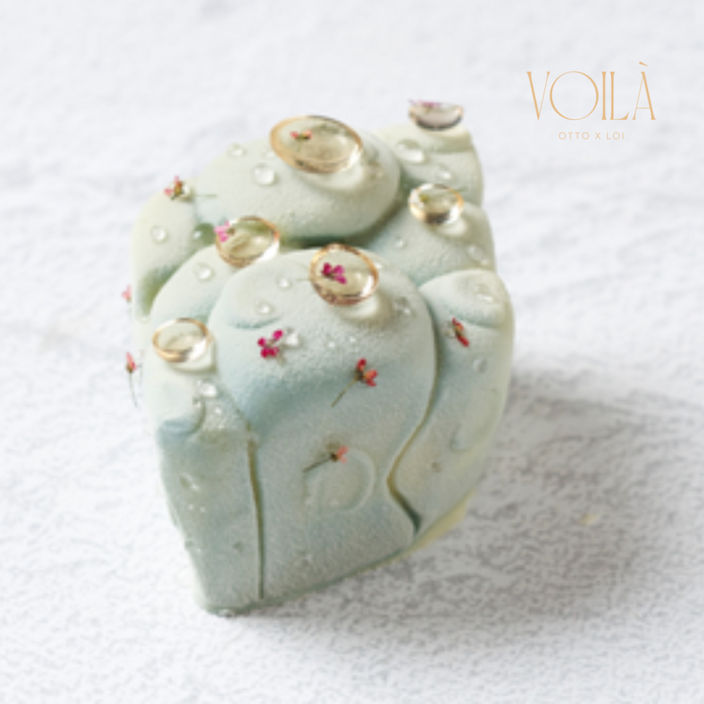 Chef Sachi Takagi - Signature Pastries