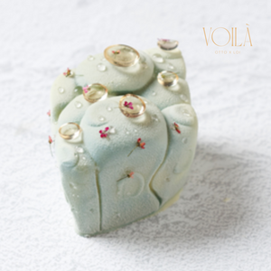 Chef Sachi Takagi - Signature Pastries